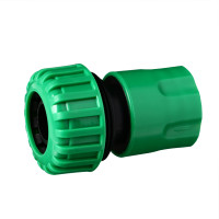 , 3/4 (19 ),  , -, Greengo