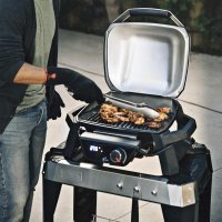   Weber Pulse 1000  