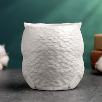 �������� ����� ��� ������ ����� � �������, 12 14 10 ��, ����, �����