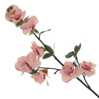 ������ ������������� ��������, L24 W12 H93 ��