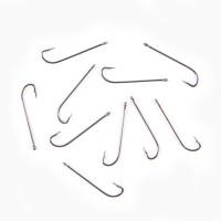 ������ Koi Long Plainshank, ������ 8 Int, ���� Bn, 10 ��.