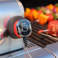   Weber Igrill Mini  