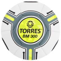   Torres Bm 300, F323653,  , 32 , . 3, Tpu