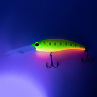  Namazu Scylla, L-120 , 34 , , , , 5.5-7.5 ,  8