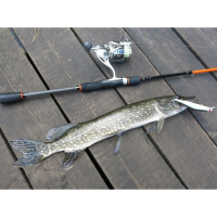   Lj Original Fit Minnow Sp, 11 ,  311