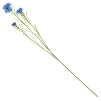 ������ ������������� �������, L7 W5 H68 ��, 2�.