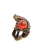 Am-2448 ������ ������ (������, ������)