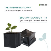   , 300 , 13 7 , ,  50 ,  , , Greengo