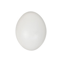   ,  , 4 5 , 1 ., , Greengo