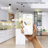   Gauss Smart Home C35 E14 4.5 495lm (1230112)