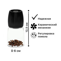    Regent Linea Aroma, 12.56 