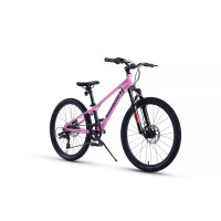  24 Maxiscoo 7bike M300,  
