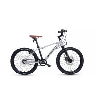  20 Maxiscoo 7bike M700,  