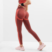   Minaku: Sportly;   - M