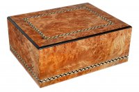  Gentili Elm-matt  50 