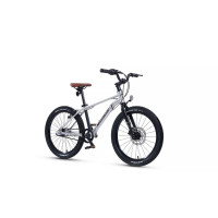  20 Maxiscoo 7bike M700,  