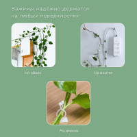    , , D=9 ,  , Greengo