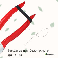  , 7 (18 ),   ,  , , Greengo