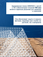     Greengo,   , -, 10 2 , 100 