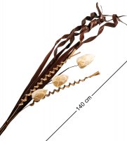 Df-16 ��������� ����������