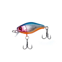 ������ Premier Chabbi, 4 ��, 4.6 �, �����, ��������� (0-0.4 �), ���� 004 (pr-ch40-004)