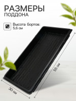   , 55 30 5.6 , , , Greengo