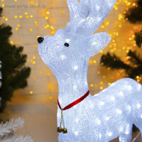     52   80   21 , , 80 Led, 8 , 24 ,  