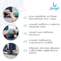    2  1 Sangh, 3313   309 ,  