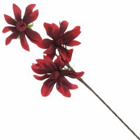 ������ �������������, L25 W14 H112 ��