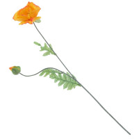 ������ ������������� ���, L17 W9 H73 ��