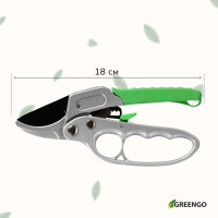  , 7 (18 ),   ,  , Greengo
