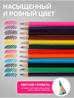  Calligrata , , 12 , , 