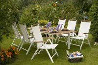   Brafab Andy W Teak,  