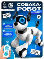   Koddy Iq Bot,   , : , , , ,  