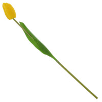    (real Touch), L3 W3 H47 