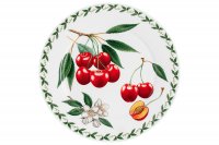   , 20 