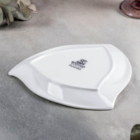    Wilmax Ariela, D=20,5 ,  