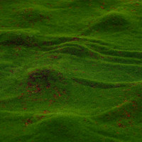 , ,  1   1 , , , Greengo