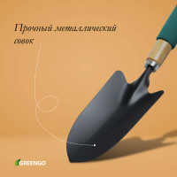   Greengo,  34.5 ,  8 ,    