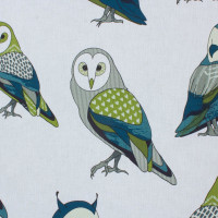 ���������� ����� ���� ������. �������, ������