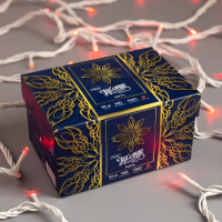   10 , Ip44, ,  , 100 Led,  , 220 