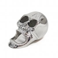  Theskull