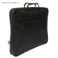     4, Calligrata ,  ,  , 365  290  30 , 141, 