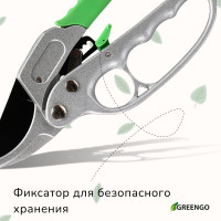  , 7 (18 ),   ,  , Greengo