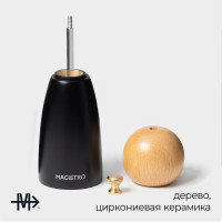    Magistro Ollander, 17 ,  