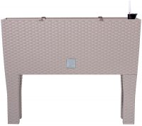    30  Rato Case High - 