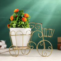 �������� ����� ��� ������ ����������, 20 10 13 ��, ������, ����������