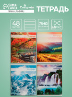  48   , Calligrata  , 