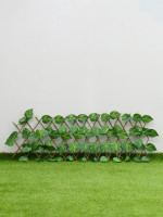  , 35 120 ,  , Greengo