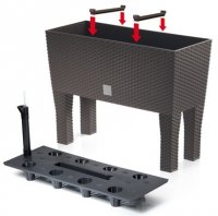    30  Rato Case High - 